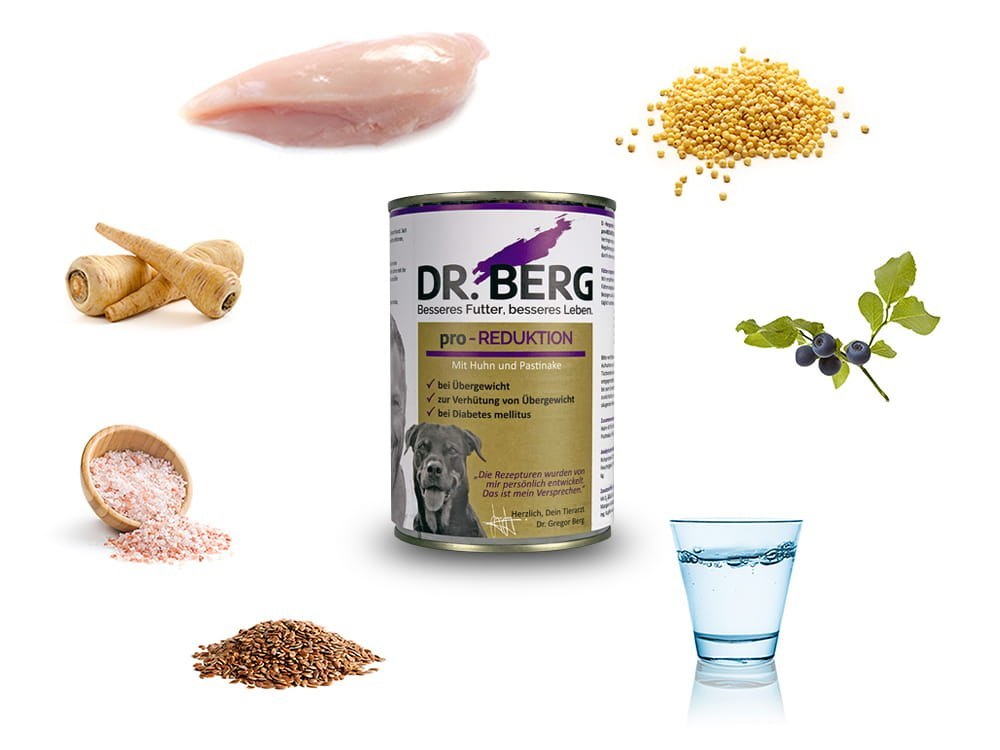 Dr BERG Pro-REDUKTION Redukcja wagi, cukrzyca 400g karma dla psa